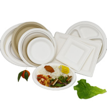 Biodegradable bagasse food Tray salad plate 10 inch sugar cane plate